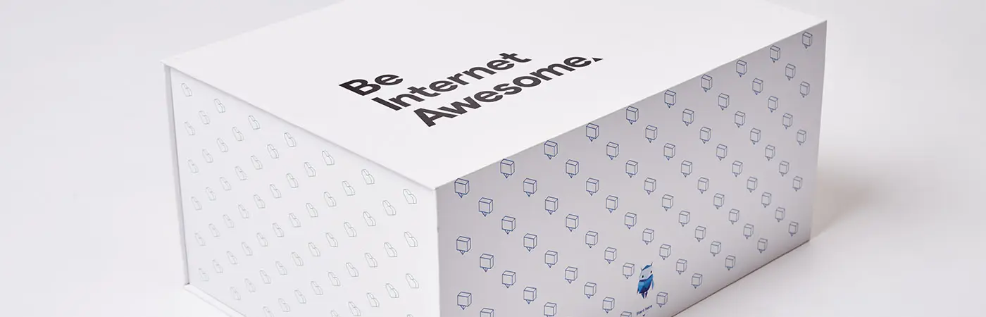 Be Internet Awesome Kit Box from Orchid and Google