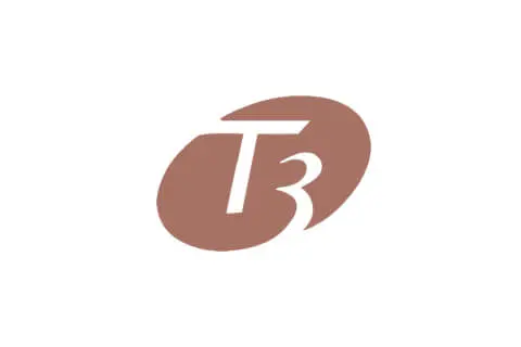T3