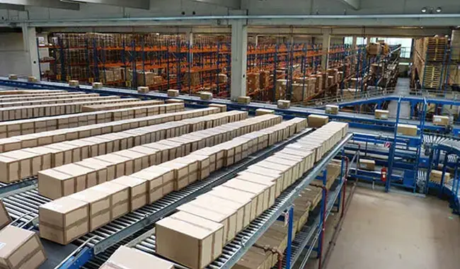 Pallet load software optimization for shipping efficiency