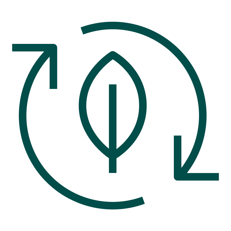 Sustainable Consulting Icon